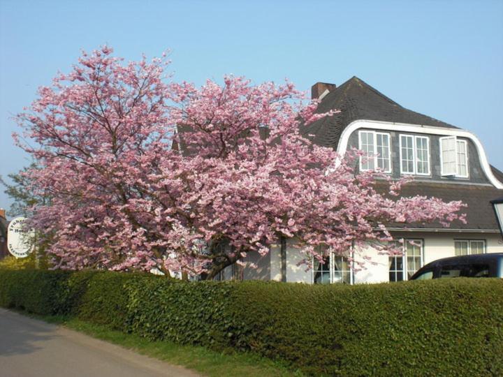 Hotel Ekke Nekkepenn Nebel Exterior photo